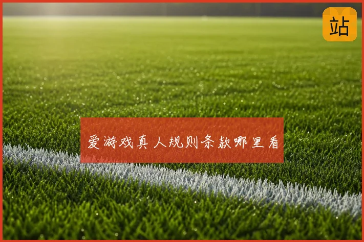 爱游戏真人规则条款哪里看